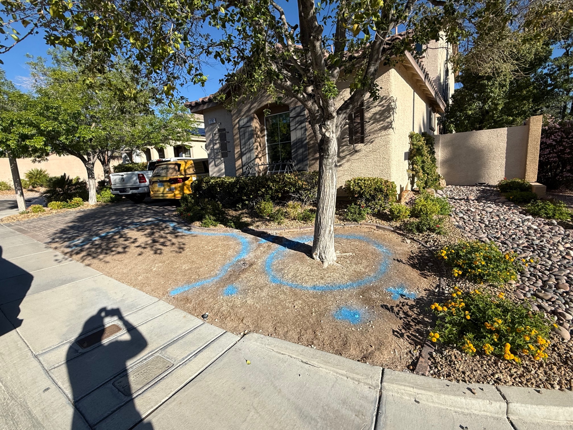 Front Yard Turf & Rock Refresh — before