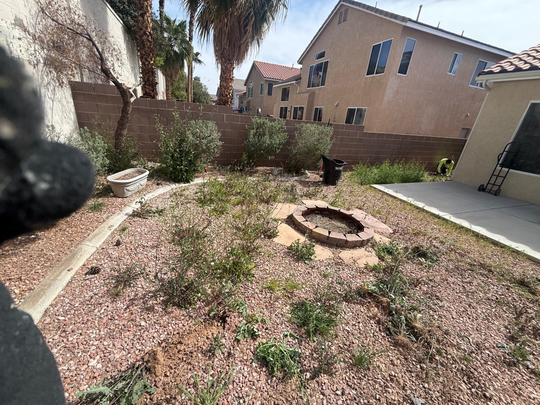 Backyard Cleanup & Refresh — before